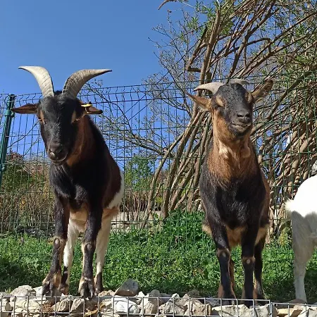 D'hotes - La Maison De Julie 3*