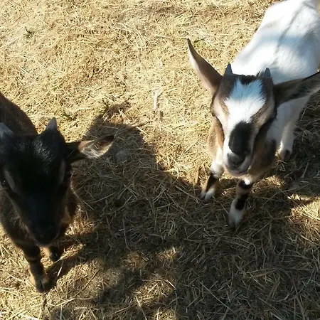 D'hotes - La Maison De Julie