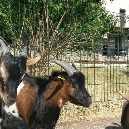 Vendégház D'hotes - La Maison De Julie Entrevaux