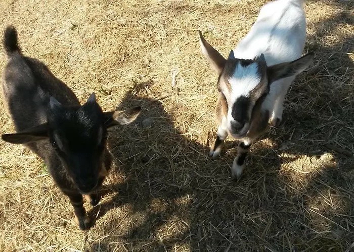 D'hotes - La Maison De Julie